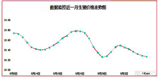 生猪价格|猪价“6连跌”，跌势逐步收窄，1个坏消息！猪价上涨又要“黄”？