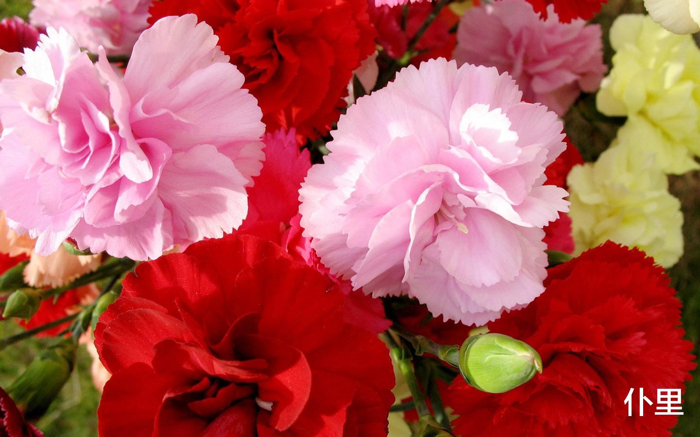 双子座@6月28号，财运突出，抬头见喜，4生肖好运势，挡也挡不住，惹不起