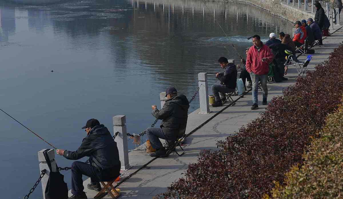 鲫鱼|明白7种“无口”的原因,才不会去喂鱼!有一种很容易钓到大物