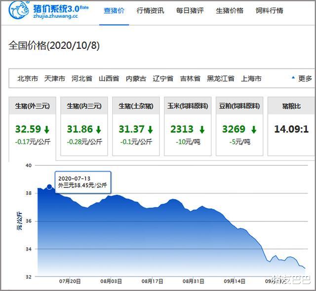 生猪价格|10月8日，猪价遇冷“一片绿”，难道15元一斤也稳不住？答案来了
