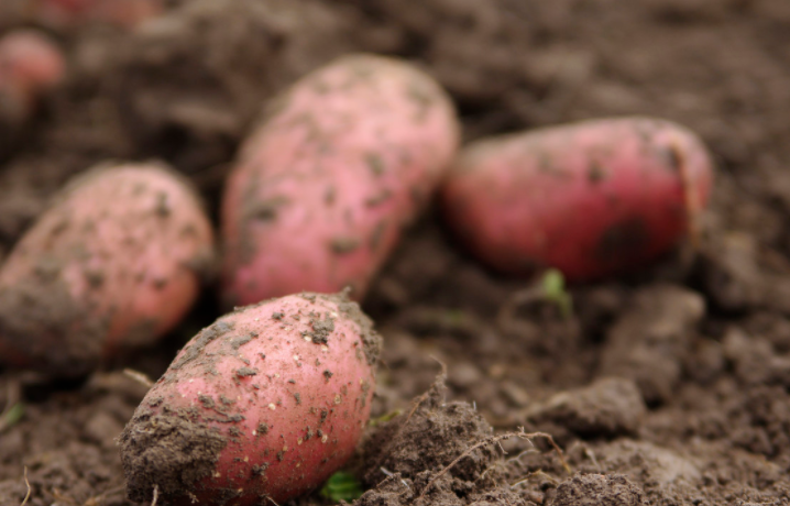 「高血压」高血压的罪魁祸首并不是盐，而是它！再不忌口，降压药等于白吃