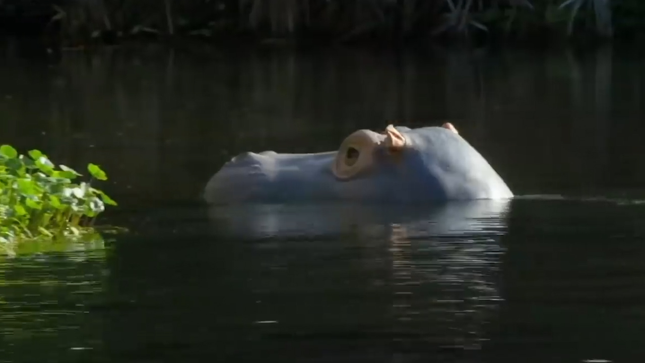 【】善于交际的几大生肖人，6月份开始，收入翻倍，事业66大顺