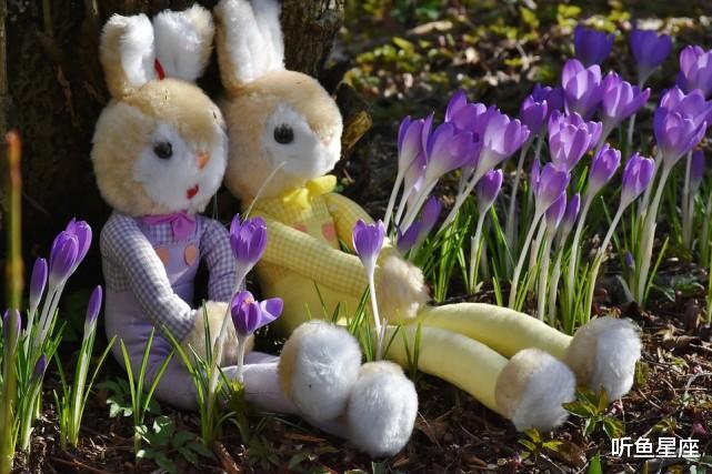 生肖|8月运势高昂,红鸾驾临,4生肖桃花遍地,很容易沾染烂桃花