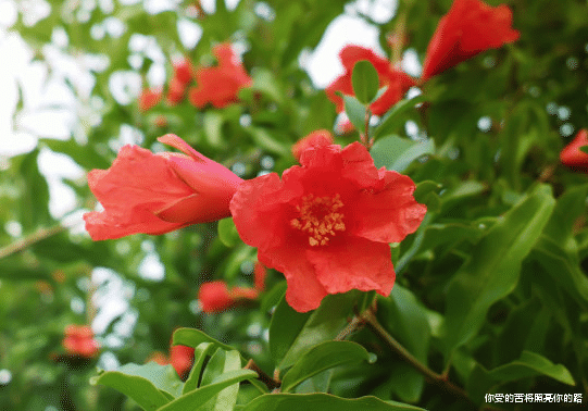 「运势」6月中旬,吉星降临,4属相运势越来越好,贵人相助,发展更顺利
