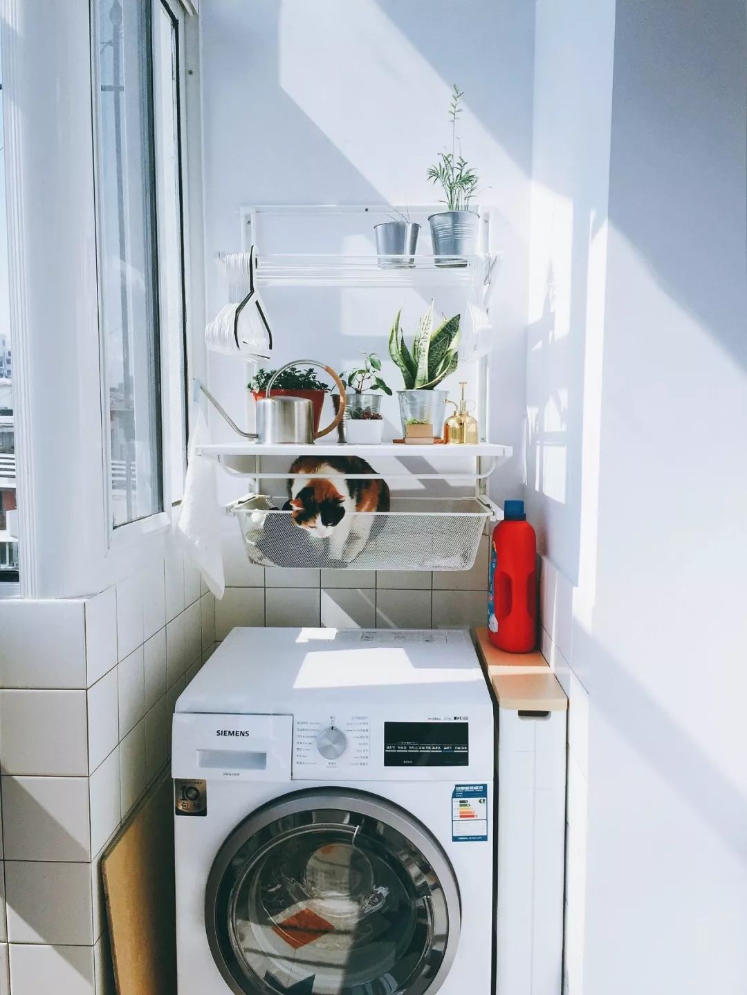 阳台位置小，洗手盆装不了，放洗衣机有余！怎么利用？