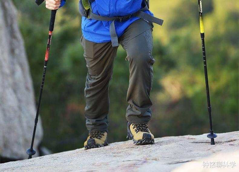 『银环蛇』我国最毒的毒蛇是什么？