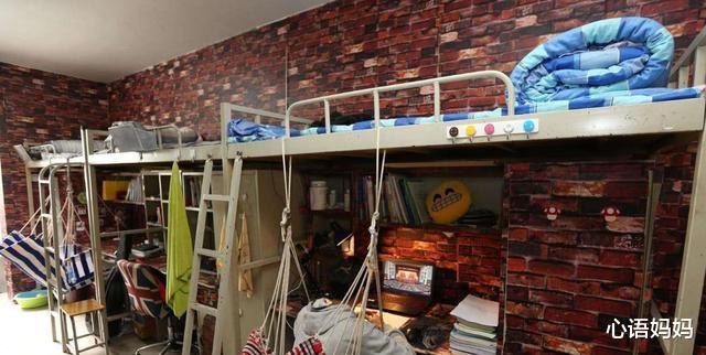 大学|大学才开学不久，就有不少大一新生忙着退学，这究竟是为何