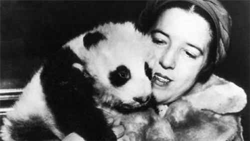 那個從中國偷走2隻大熊貓，並偷渡帶回美國的露絲，5年後懲罰來瞭-圖4