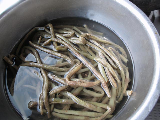 土豆|这东西不怕过期，超市19元一斤，现在抓紧多买点，到冬天就少了