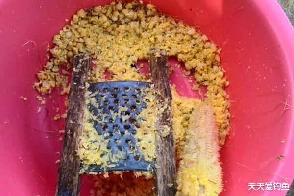 「玉米」夏季野钓必备饵料:嫩玉米的多种饵料配方,通杀鲫草青鲤鳊!