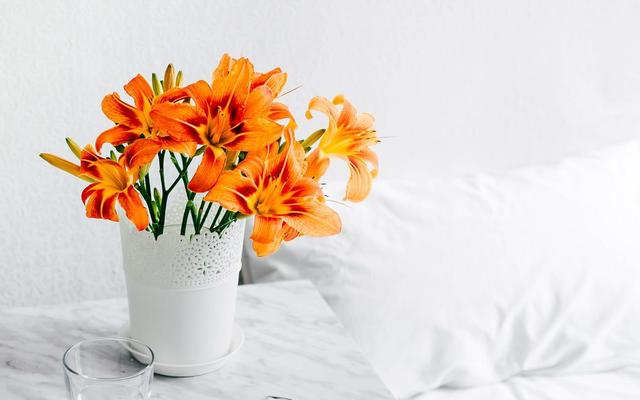 星座女|看看下半年,是哪三个星座女,能添财添福?