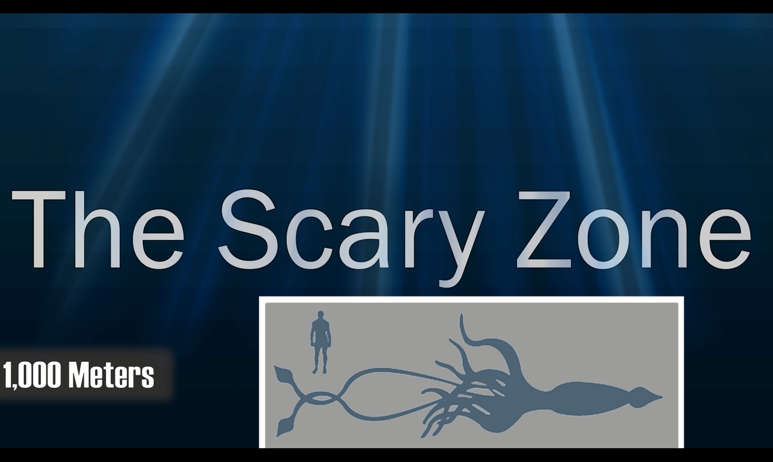 海洋生物|大海究竟有多深?看完这些你可能也会得深海恐惧症