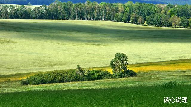 运势|11月起,运势如虹,福气满满,横财就手,事业生活一帆风顺的星座