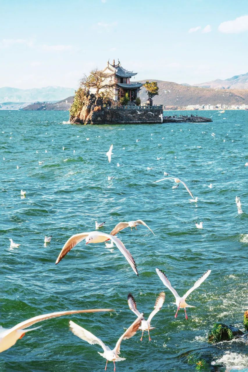 旅行|15个情侣最爱打卡的旅行地，去过5个忍不住想结婚！