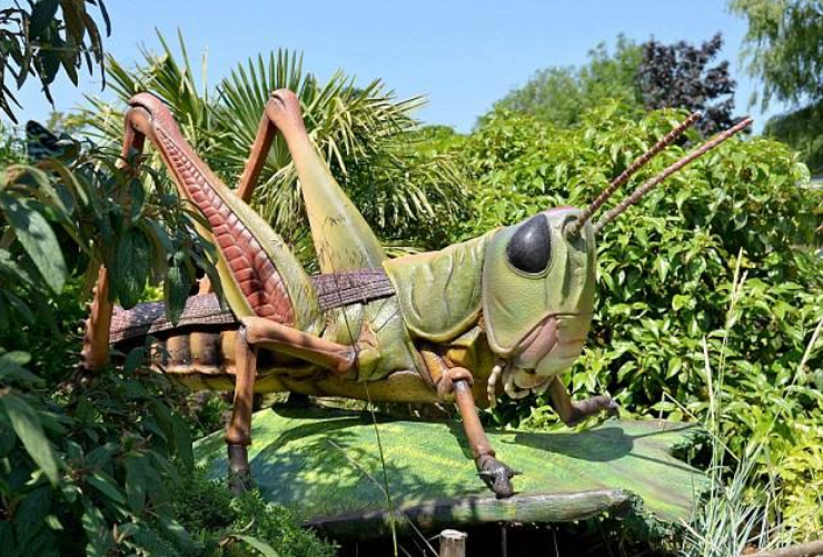 []地球氧气占比为何要维持在21%左右？只因氧气俱增的后果令人恐惧