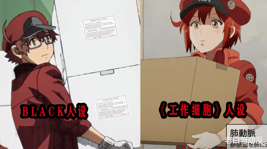 工作细胞|什么性别的白血球让人喜欢?看下他们的战斗,答案有了!