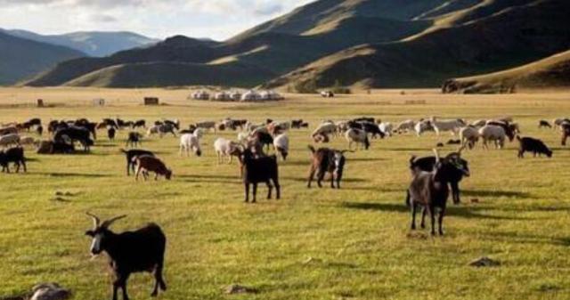 「」外蒙古独立快100年了,我国的一个省至今“不承认”