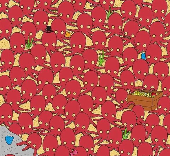 老年痴呆|有趣的老年痴呆测试：章鱼中有一只小鱼，看你能在30秒之内找到吗