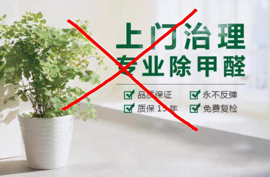 |罗永浩直播谈甲醛：别再被治理公司骗！记住这3种办法才是最有效的