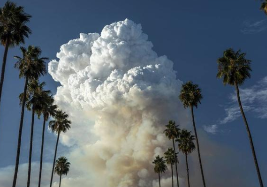 美國加州傳來一個噩耗，出現罕見的“火卷風”，場面堪比科幻大片-圖3