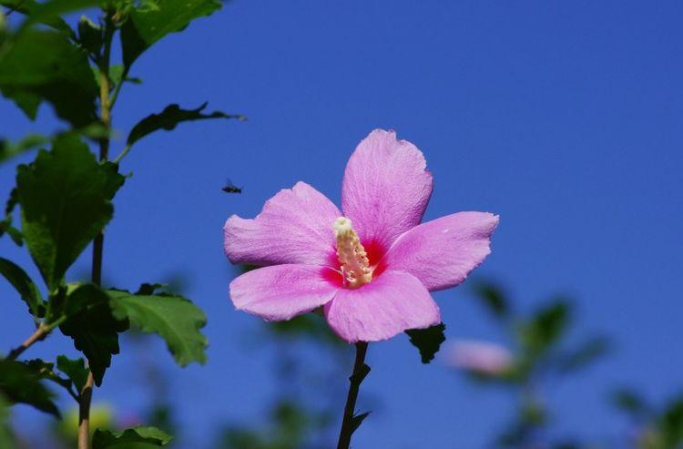 生肖|九月中旬，好运连连，财源滚滚，财富在眼前的四大生肖