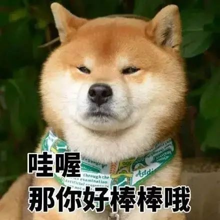 王凯：王凯和正午老总同居？王一博陈晓内斗；女星背后豪门破产；四字身价暴涨