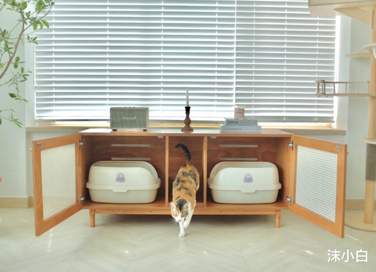 猫砂|晒她53平老小房，家人不解为啥买老房，改完明白了！真敞亮