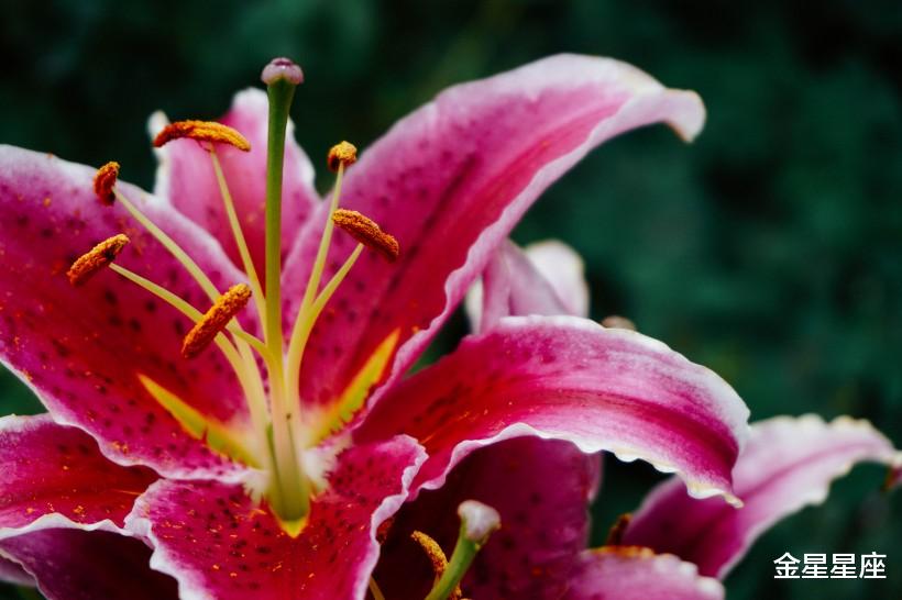 「生肖」7月7号,存款翻倍,正财旺上加旺的3属相,事业步步高升