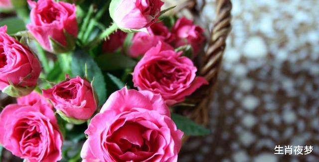 生肖|8月，爱之深，恨之切，3生肖全身而退，不再为了爱情而感到苦恼