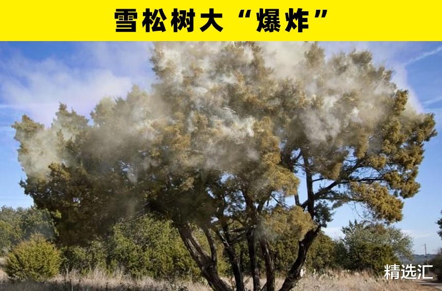 |你在以前可能还没听说过的5个奇怪的事物