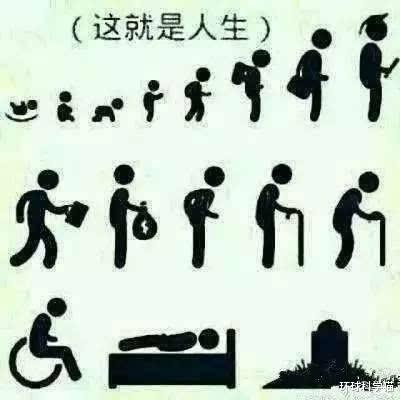 |死亡是人生的终点，其实也是开始，只是存在的形式不一样