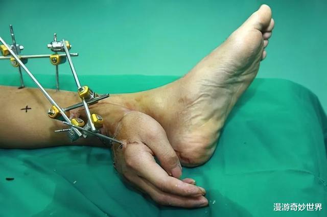 |活久见的25张图,看完眼界打开!