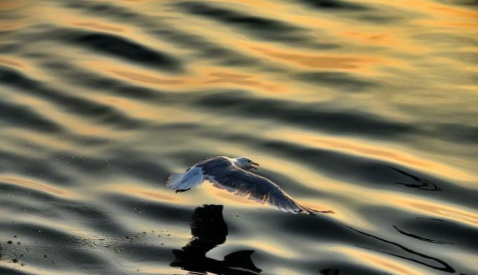 「贝加尔湖」贝加尔湖再创奇迹,湖水改流中国犹如引海入彊,利国利民的好事