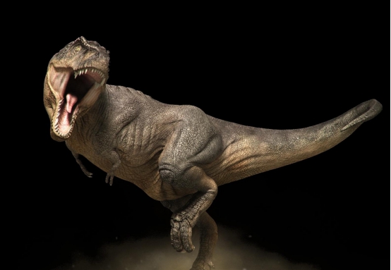 『化石』神秘的古人类化石，不属于任何已知人种，它与人类有385处差异