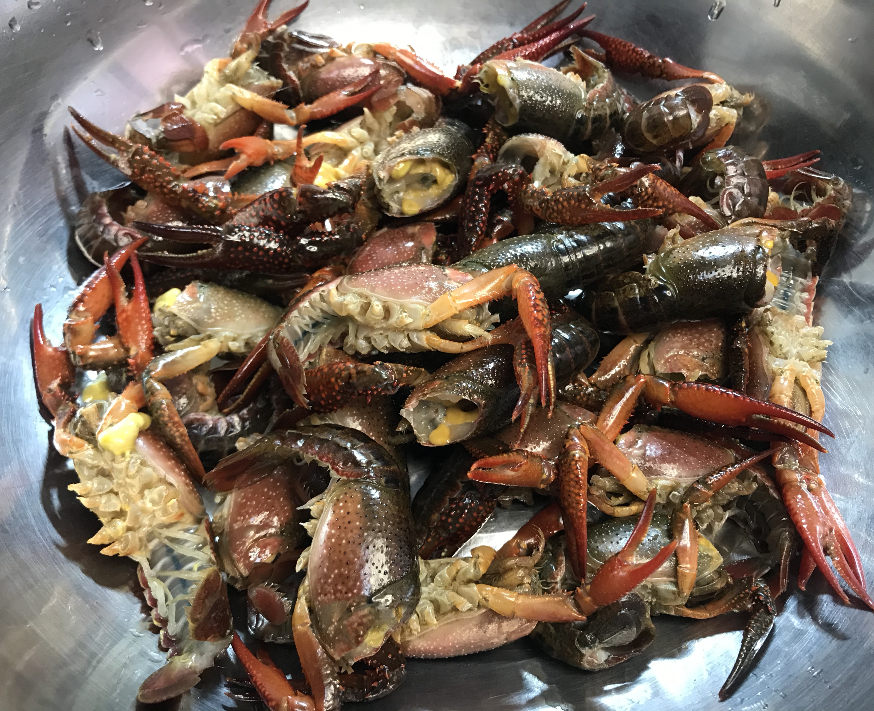 「麻辣小龙虾」麻辣小龙虾，自己做远远比外面买的还要好吃