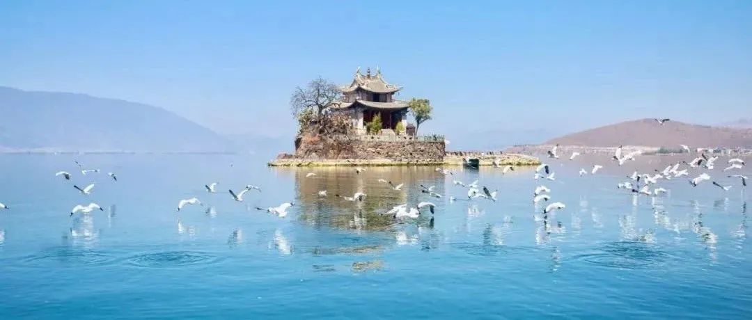 灵山|广西铁路加开列车啦！168趟“赶海”动车，只为带你参加这场盛会！