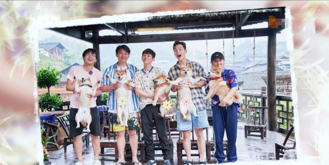 向往的生活：《向往的生活》先导片播出，节目多年来热度不减的原因是……