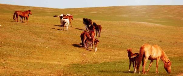 李隆基|朱元璋在老农家避雨，问老农姓啥？老农如实回答，封你世代为官