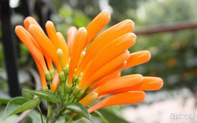 射手座▲在6月上旬,桃花乍现,相互爱慕,相守一生的三大星座