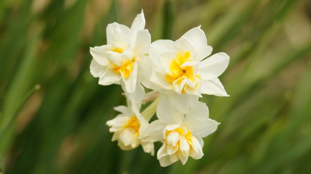 金牛座|9月，兜兜转转，痴心不悔，分分合合，不再争吵，爱情又来报道