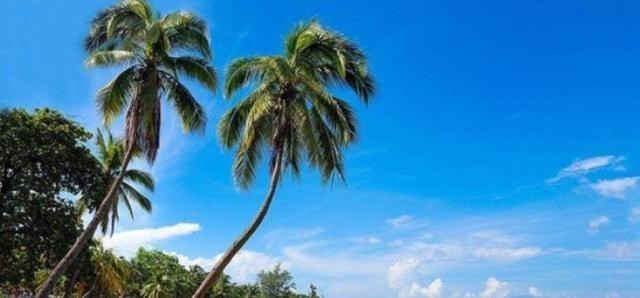 物价|中国物价“最低”的沿海城市，30块钱海鲜吃到饱，一起看看吧