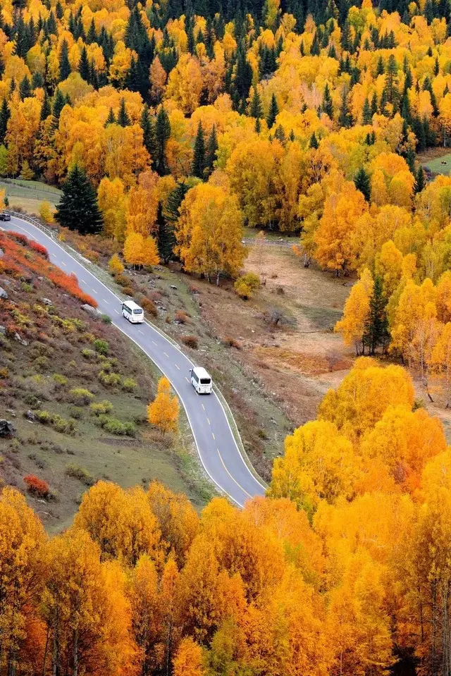 自驾|全国最早一波秋色来了！这6条自驾路线，9、10月美成天堂
