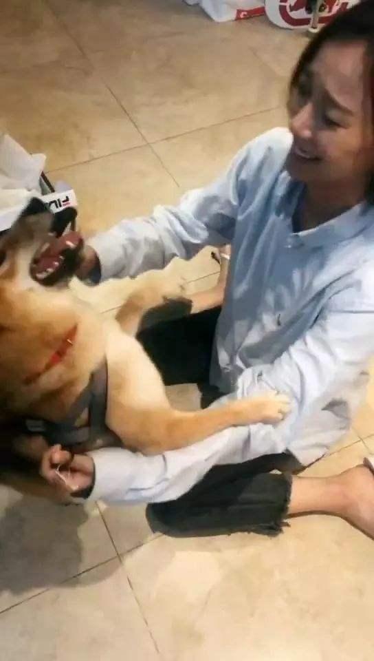 「王珞丹」王珞丹后悔养瓢哥,询问这货能退吗?何炅大呼心疼她三秒,节目组:概不售后!