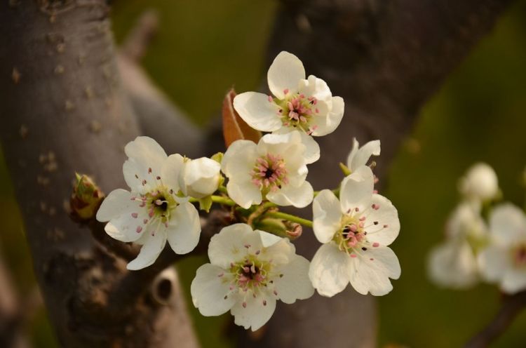 生肖|9月下旬月老送来好姻缘，四个生肖最易脱单！你准备好脱单了吗？