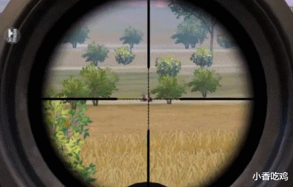 和平精英|和平精英:最容易被针对的3把枪,信号枪上榜,不低调别想吃鸡!