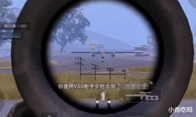 #和平精英#和平精英:VSS为什么能留这么久?王牌玩家笑了,给98K都不换