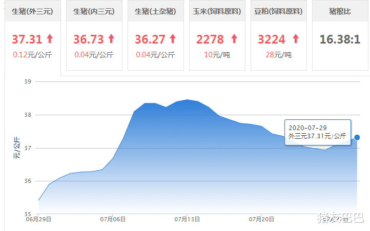 生猪价格|非瘟再现、冻肉来袭，猪价“不跌反涨”，大范围飘红，到底为啥？
