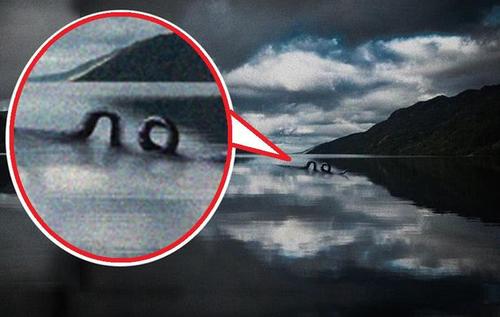 喀纳斯湖|新疆喀纳斯湖“水怪”有消息了，有人夜以继日蹲守，拍到了真面目