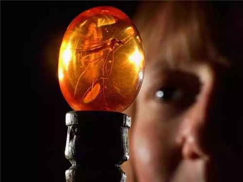 恐龙|1864年,美国士兵曾抓到一只翼龙,并留下合影,究竟是真是假?