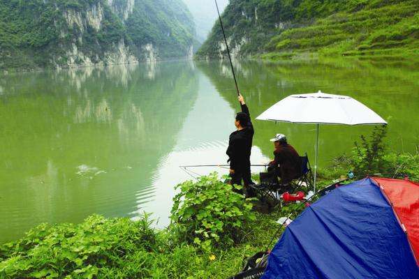 饵料|错觉，钓鱼人中毒至深的表现，你是否曾陷入饵料的误区无法自拔？